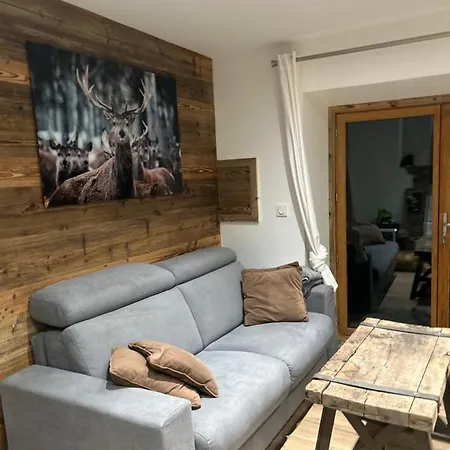 Avec Jardin Et Vue Panoramique Montblanc Apartment Les Houches